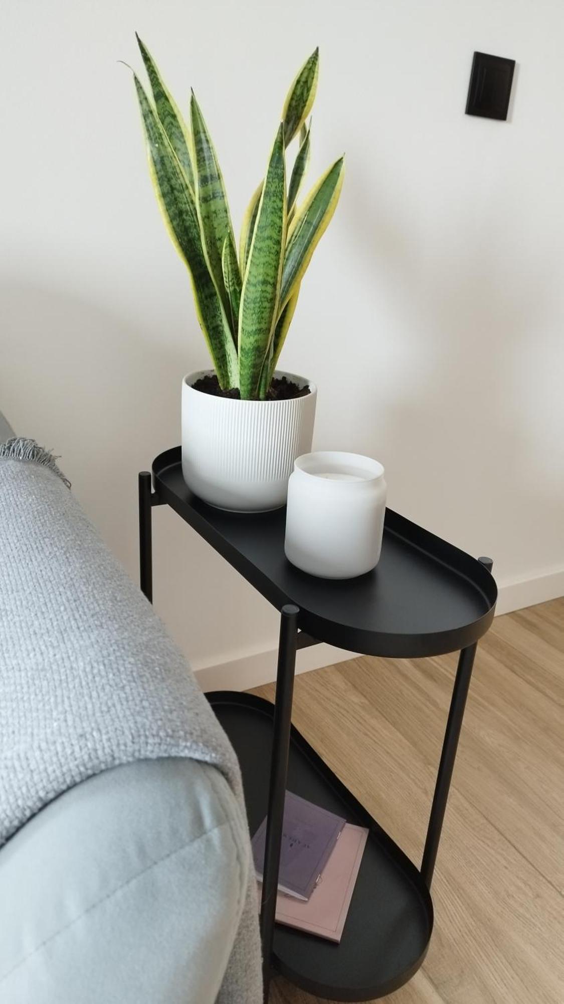 Apartment Between Cracovia Esterno foto